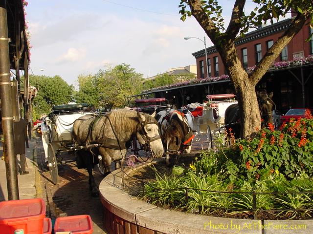 Full Size Image = 576 K