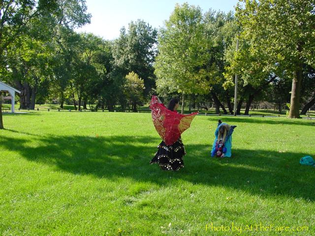 Full Size Image = 600 K