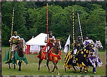 Jousting Knights and Steeds!