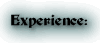Experience: